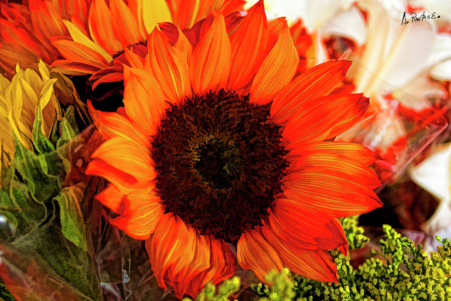 Details 48 girasol naranja