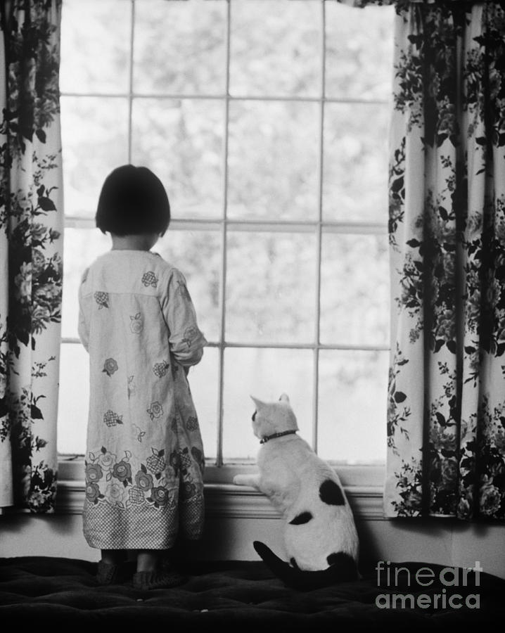 Girl And Cat At Window, C.1980s Photograph by H. Armstrong Roberts/ClassicStock