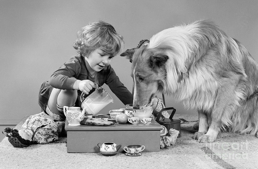 Girl And Dog Having Tea Party Photograph by H. Armstrong Roberts/ClassicStock
