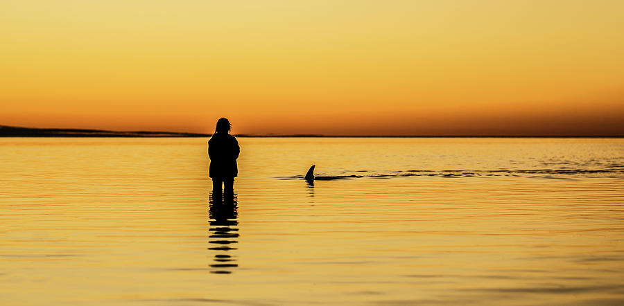 Dolphin Photograph - Girl and Dolphin - Monkey Mia, Western Australia by Gary Wright
