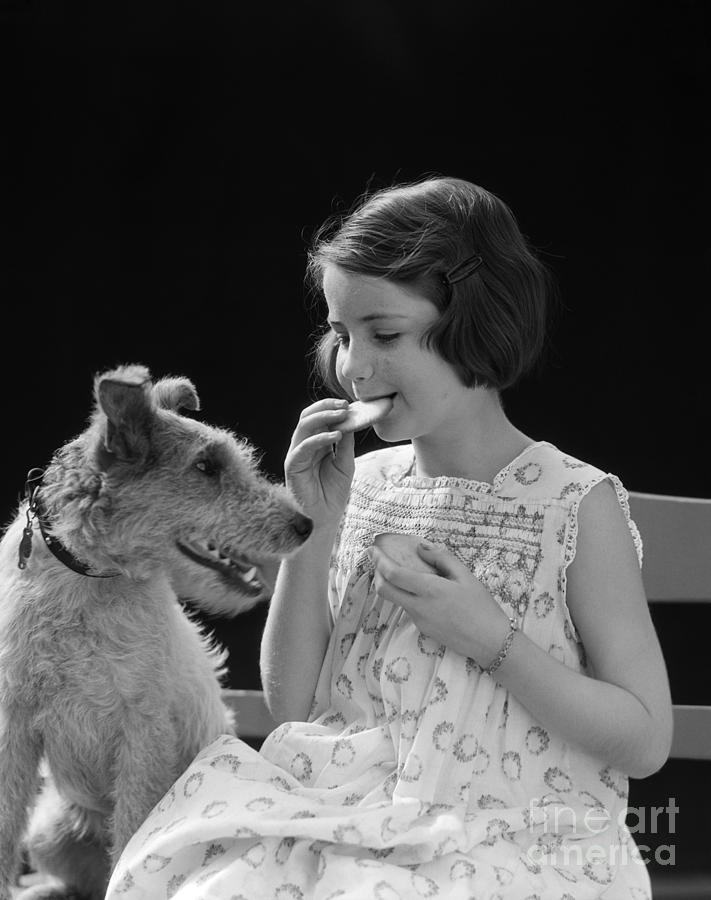 Girl Eating Cookies As Dog Begs Photograph by H. Armstrong Roberts/ClassicStock