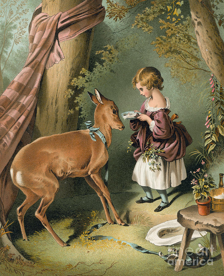 Tree Painting - Girl Feeding A Deer by Edwin Landseer