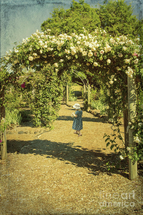 Rose Photograph - Girl in a Rose Garden by Elaine Teague