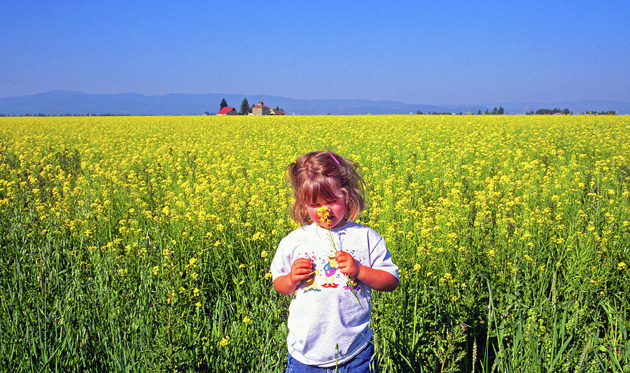 Girl In Field Photograph