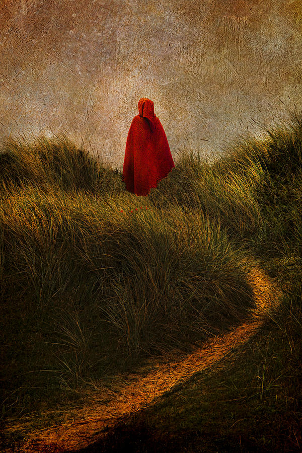 Design Digital Art - Girl in the red cloak by Martin Fry