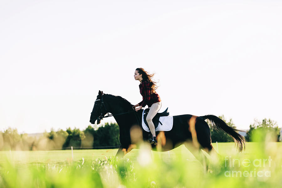 Girl storming through the field on a bay horse Photograph by Michal Bednarek