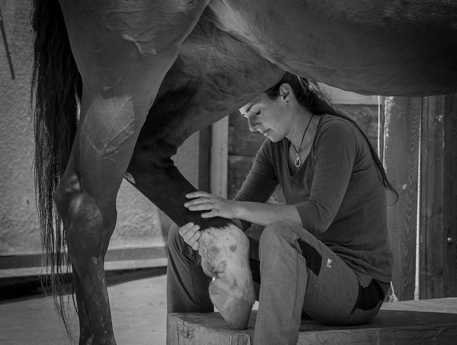 Black And White Photograph - Girl Treats Horse by Sebastian Graf