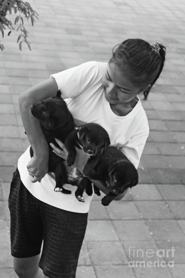 Girl with Puppies Photograph by Cassandra Buckley