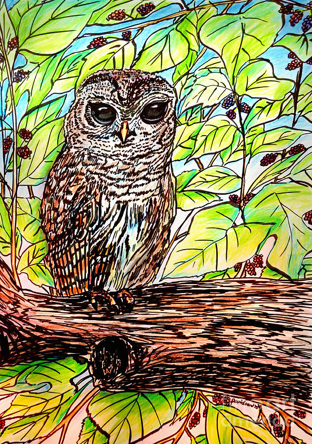 Give A Hoot Painting by Pat Davidson
