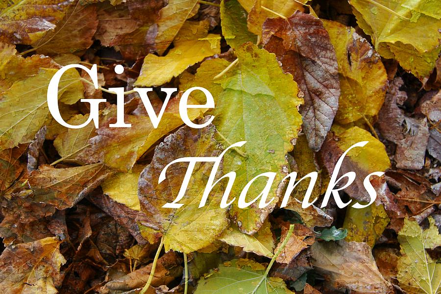 Holiday Photograph - Give Thanks  by Rhiannon Ramsey