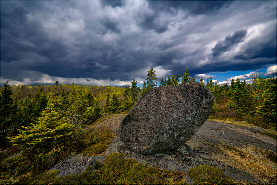 Glacial Boulder And Spring Forest Barrens Photograph by Irwin Barrett