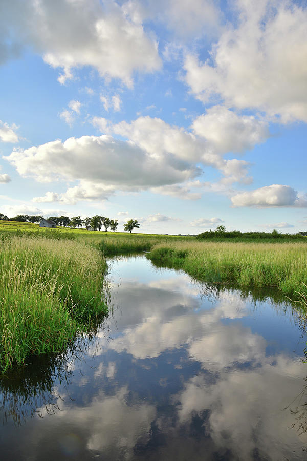 Glacial Park Cloud Reflection Photograph by Ray Mathis