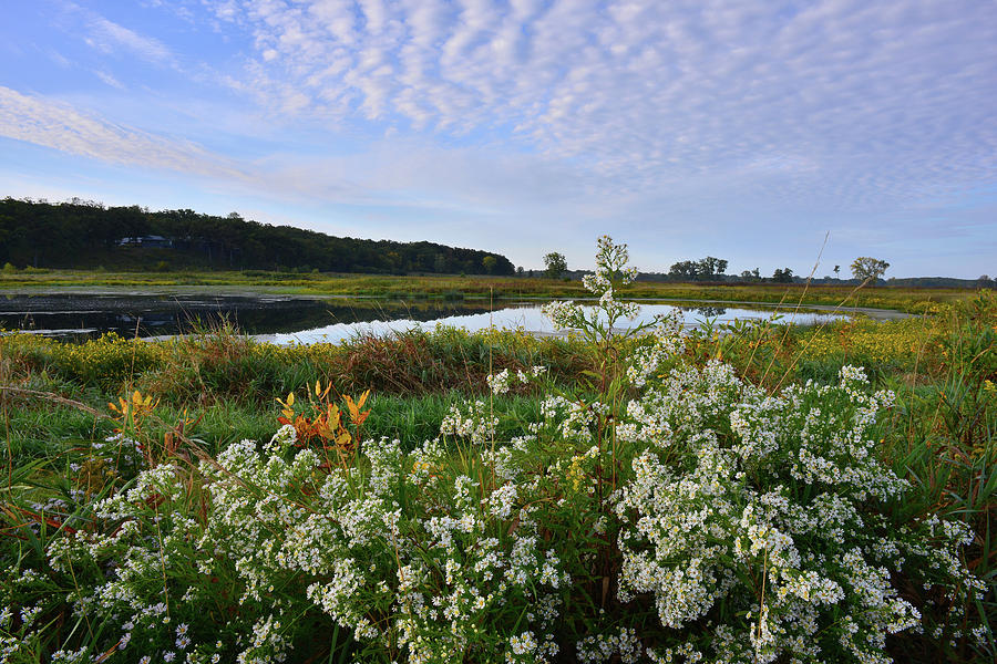 Glacial Park Pond in Lost Valley Photograph by Ray Mathis