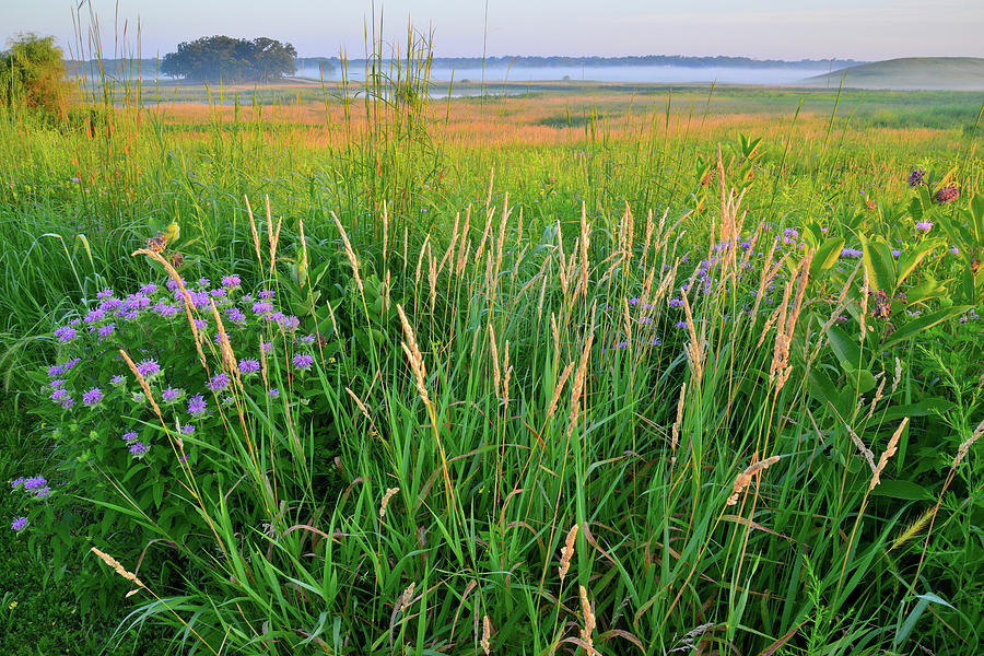 Glacial Park Prairie and Wetlands at Sunrise Photograph by Ray Mathis