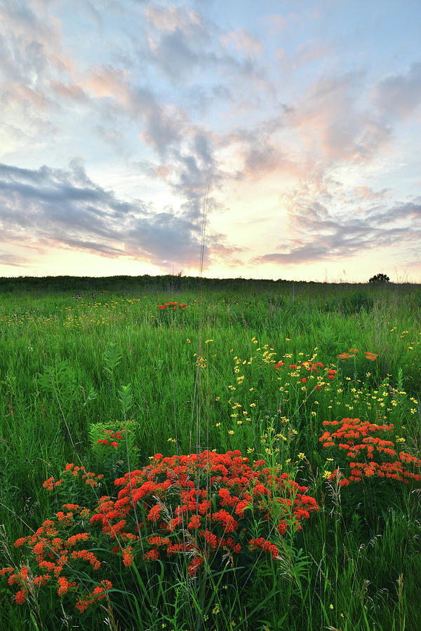 Glacial Park Sunset Photograph by Ray Mathis