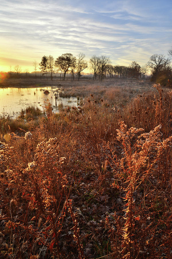 Glacial Park Wetland at Sunrise Photograph by Ray Mathis