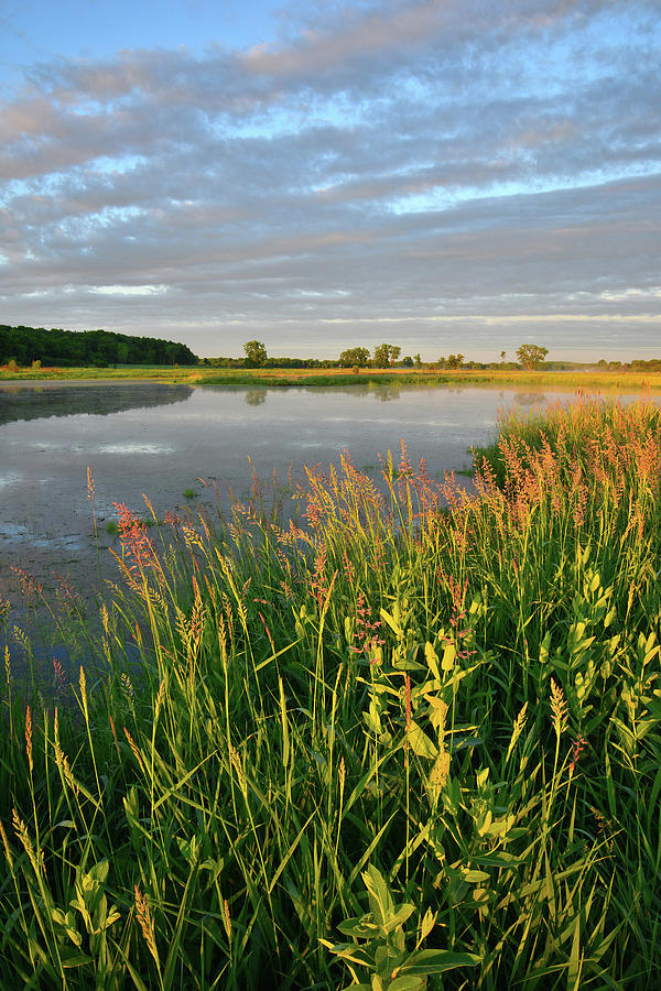 Glacial Park Wetland Sunrise  Photograph by Ray Mathis