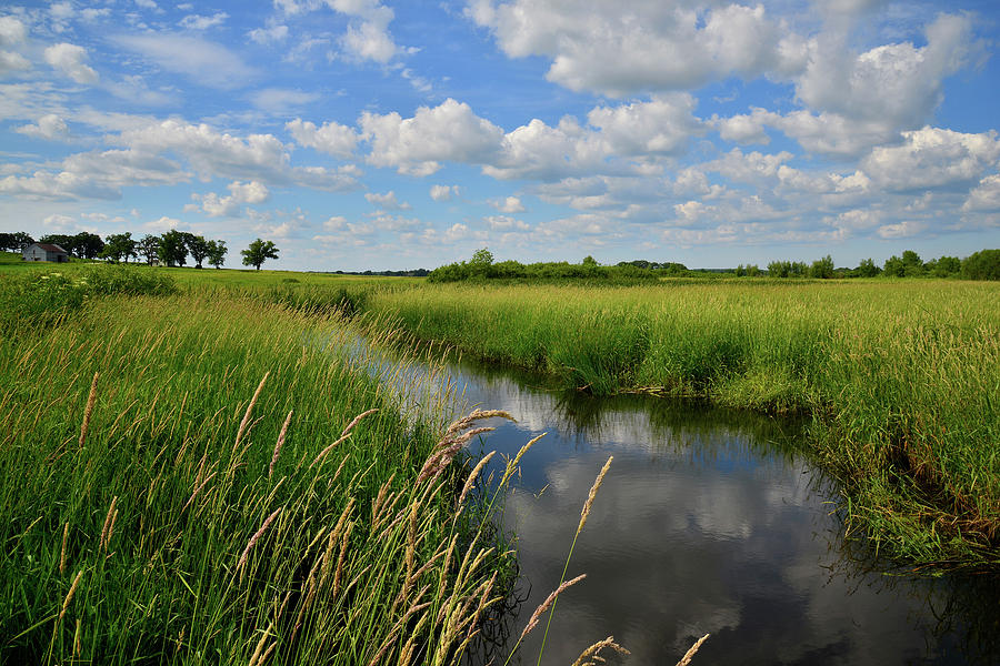 Glacial Park Wetlands Photograph by Ray Mathis