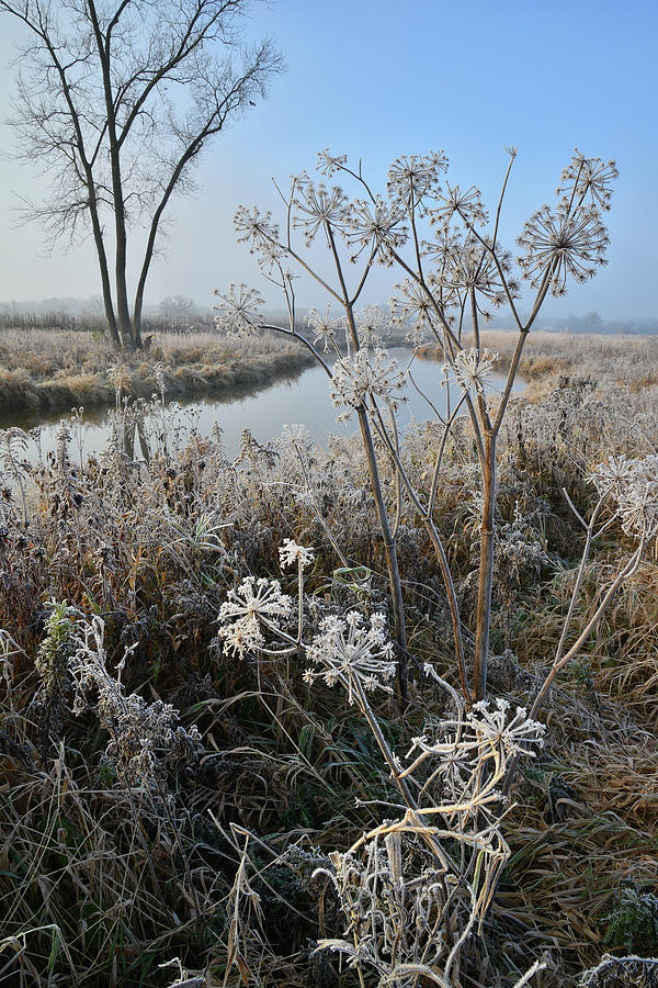 Glacial Parks Nippersink Creek on Frosty Morning Photograph by Ray Mathis