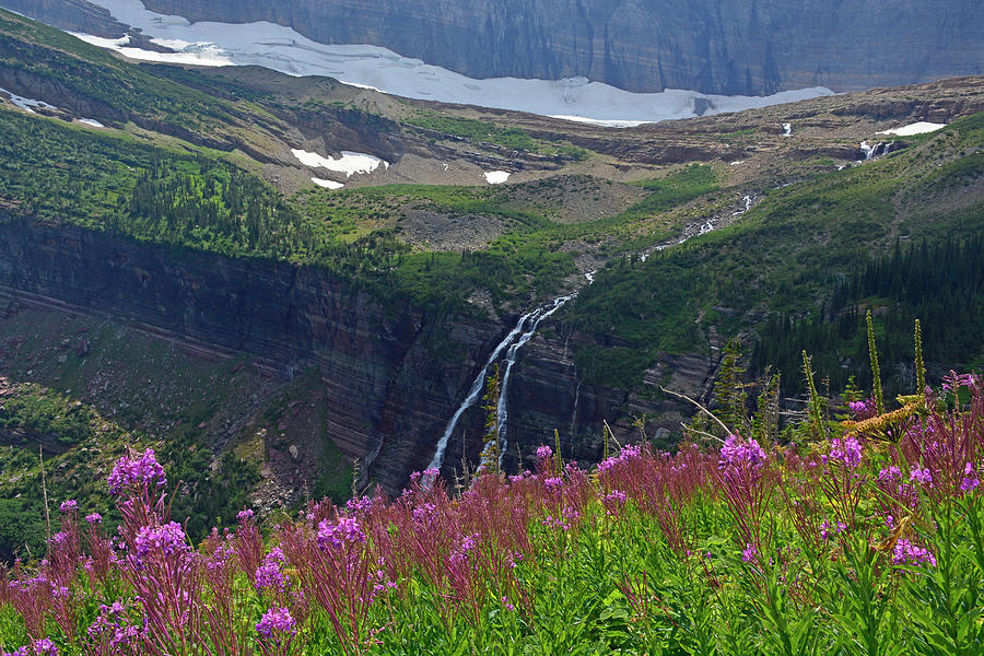Glacial Waterfall and Fireweek Photograph by Bruce Gourley