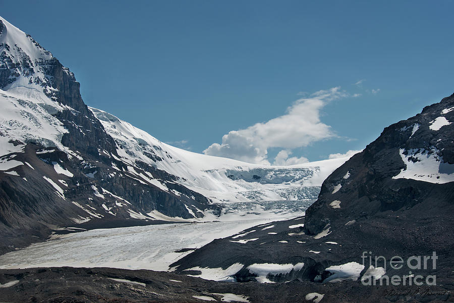 Glacier and Ice Fields Photograph by David Arment