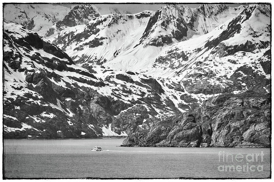 Glacier Bay 2 BW Photograph by Izet Kapetanovic