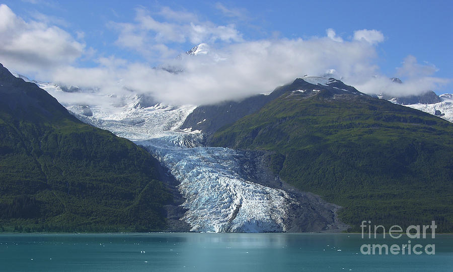 Glacier Bay Afternoon Photograph by Sandra Bronstein