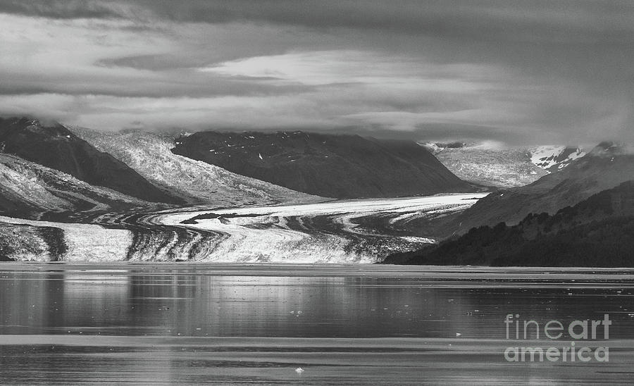 Nature Photograph - Glacier Bay, Alaska by Sandra Bronstein