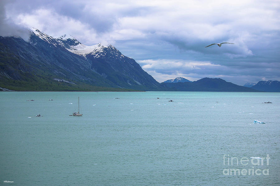 Glacier Bay Alaska Two Photograph by Veronica Batterson