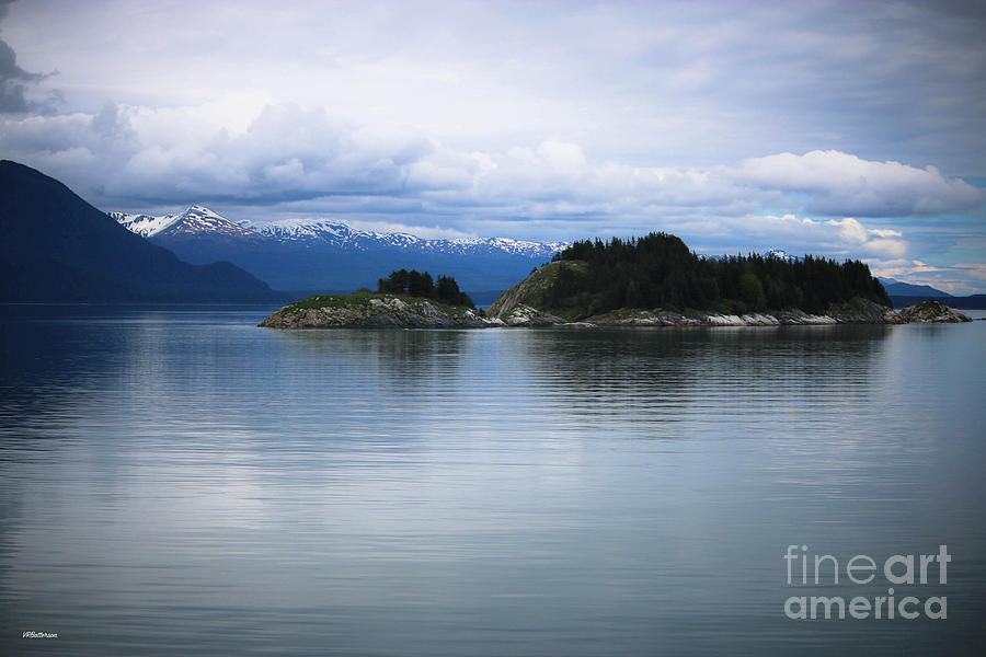 Glacier Bay Alaska Photograph by Veronica Batterson
