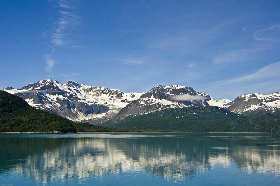Glacier Bay Photograph by Ches Black