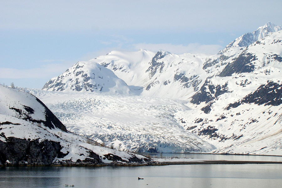 Glacier Bay National Park Alaska  Photograph by Rick Rosenshein