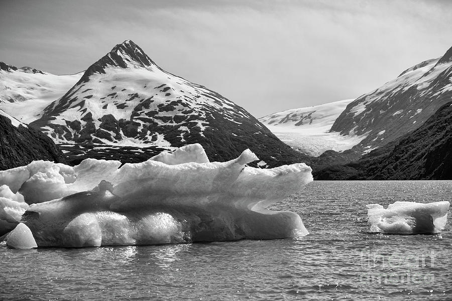Anchorage Photograph - Glacier BW Porter Alaska by Chuck Kuhn