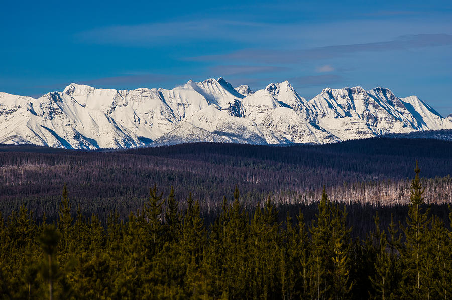 Glacier Country, Montana Photograph by Jedediah Hohf