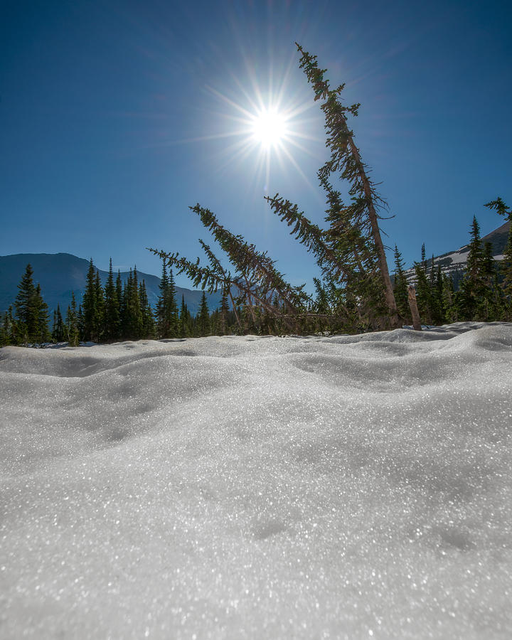 Glacier High Country Photograph by Matt Hammerstein