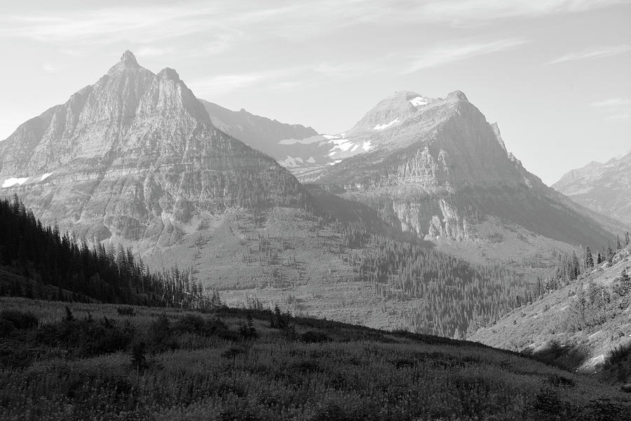 Glacier National Park Fireweed Slope Black and White Photograph by Bruce Gourley