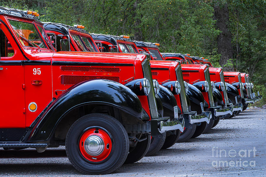 Glacier National Park Red Buses Photograph by Jerry Fornarotto