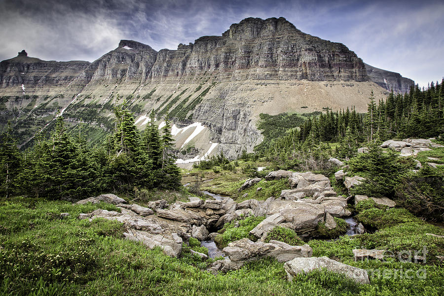 Mountain Photograph - Glacier National Park Scene by Timothy Hacker