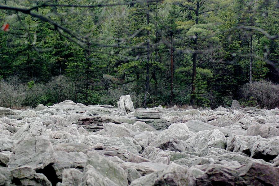 Glacier Rock 2 Photograph by Amy-Elizabeth Toomey - Fine Art America