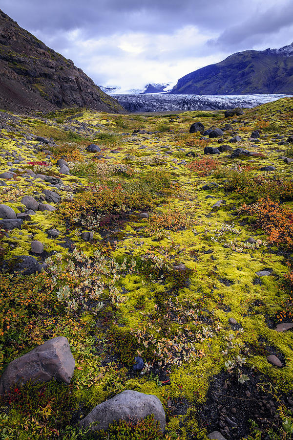 Glacier valley Photograph by Alexey Stiop