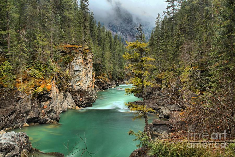 Glacier Waters Through The Forest Photograph by Adam Jewell