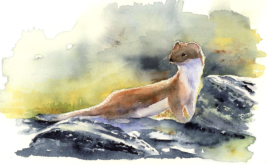 Glacier Weasel Painting by Marsha Karle