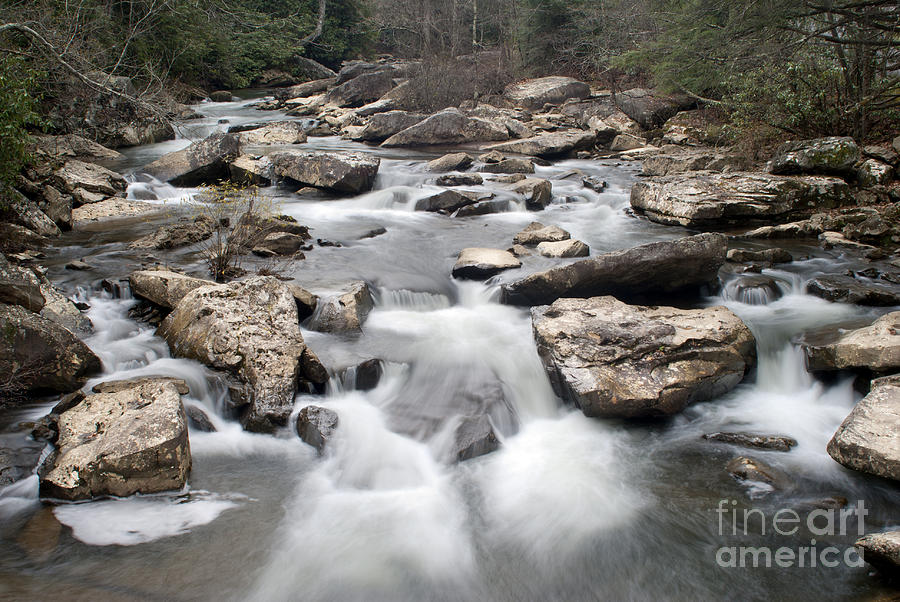 Glade Creek at Babcock State Park Photograph by Anthony Totah