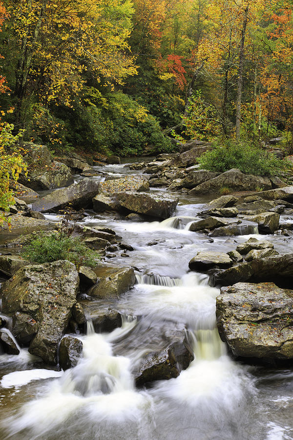 Glade Creek Autumn Photograph by Emil Davidzuk