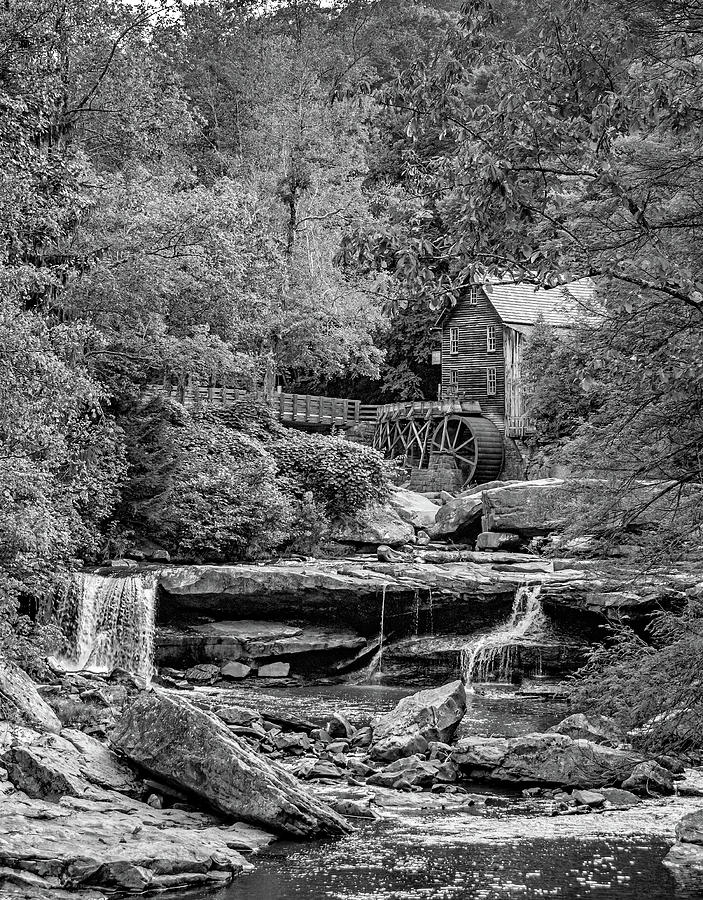 Tree Photograph - Glade Creek Grist Mill 3 bw by Steve Harrington
