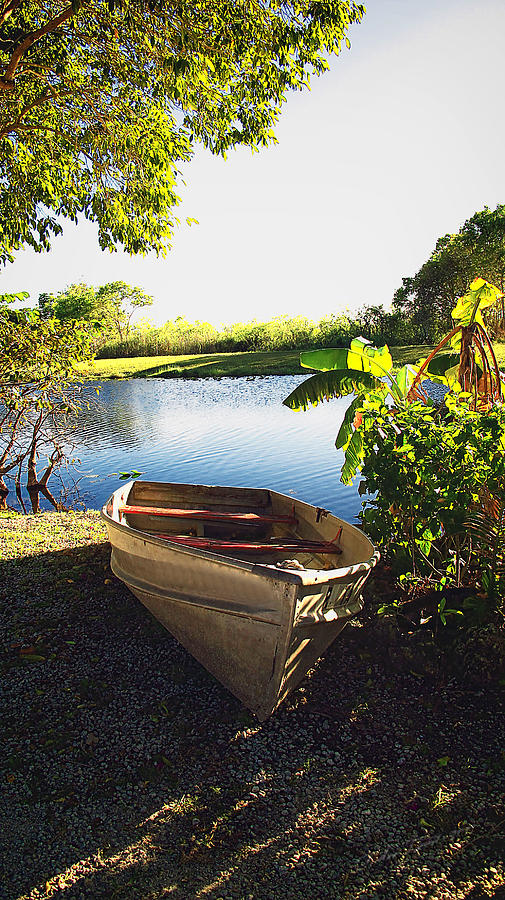Glades Boat Photograph by Dulce Levitz