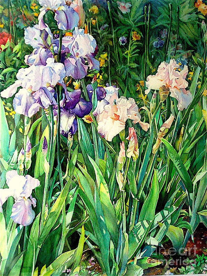 Iris Painting by Francoise Chauray