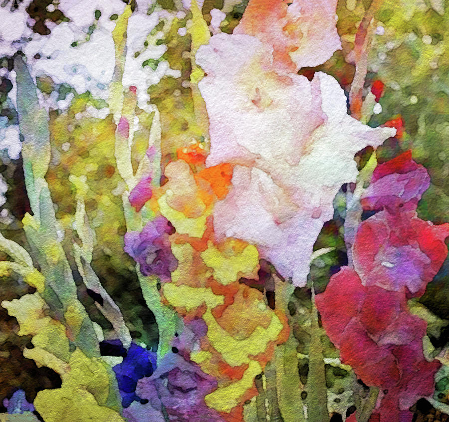 Gladiola Rainbow Mixed Media by Susan Maxwell Schmidt