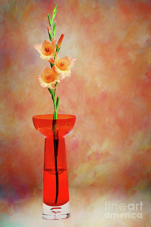 Gladioli Still Life II by Kaye Menner Photograph by Kaye Menner