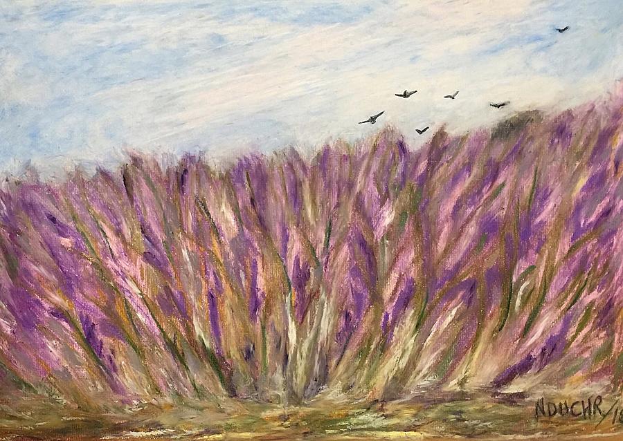Gladiolus Field by Norma Duch Gladiolus Field by Norma Duch